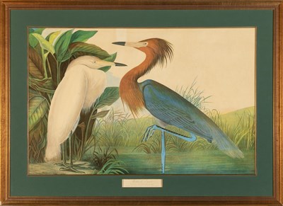 Lot 1004 - After John James Audubon (1785-1851) REDDISH...