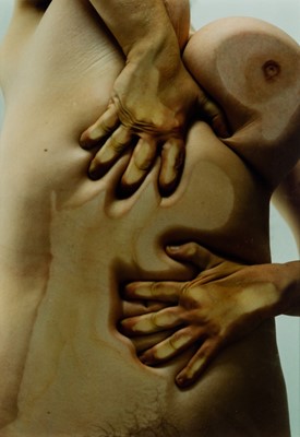 Lot 3103 - Jenny Saville. Closed Contract, 2002.