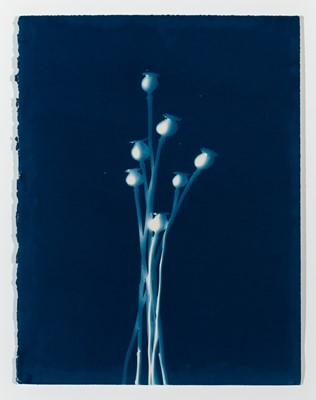 Lot 594 - NGUYEN-DUY, PIPO (b. 1962) Untitled 20,...