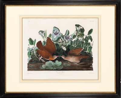 Lot 4 - After John James Audubon (1785-1851)