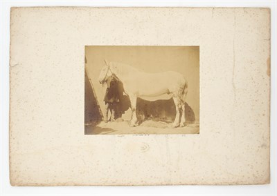 Lot 504 - BISSON FRÈRES (Louis-Auguste, 1814-1876 &...