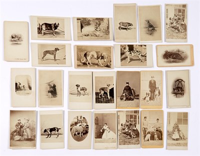 Lot 531 - [VERNACULAR-ANIMAL CARTES DE VISITES] Various...