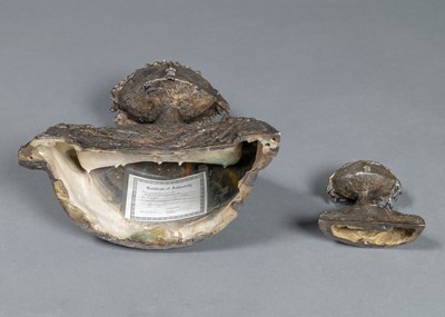 Lot 137 - Ángel Botello