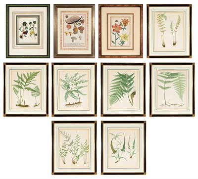 Lot 361 - Various Artists [BOTANICAL STUDIES] Three hand-...