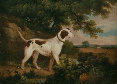 Lot 1 - American School