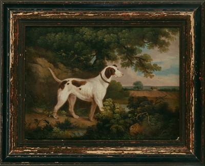 Lot 1 - American School
