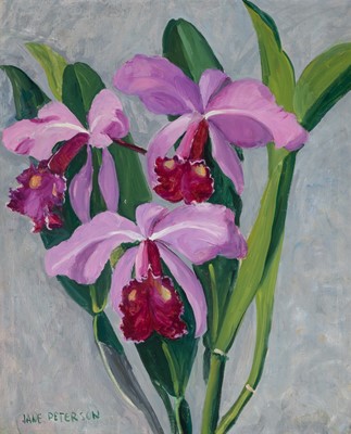 Lot 1007 - Jane Peterson