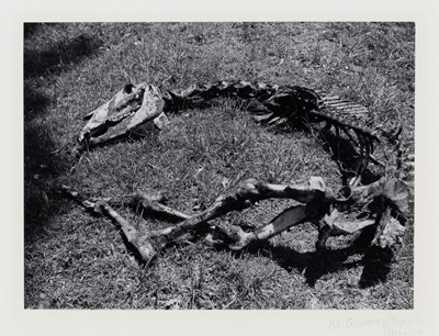 Lot 542 - BRAVO, MANUEL ALVAREZ (1902-2002) [Dead horse],...
