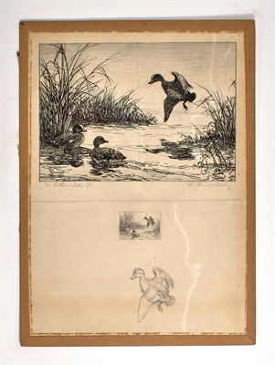 Lot 70 - RIPLEY, ALDEN LASSELL Original drawings for...