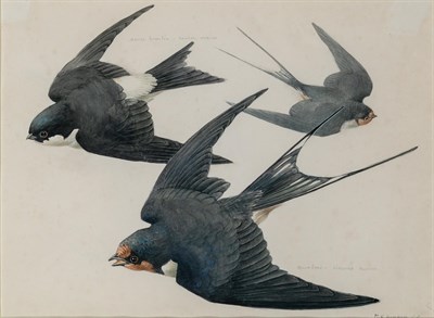 Lot 22 - Mildred Eldridge, R.W.S. British, 1909-1991...