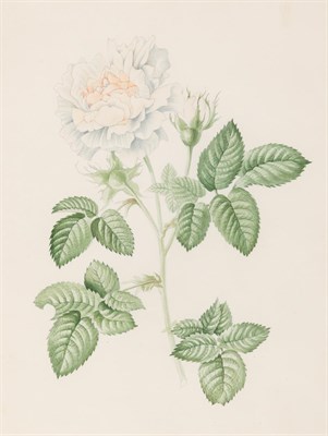 Lot 23 - Mildred Eldridge, R.W.S. British, 1909-1991...
