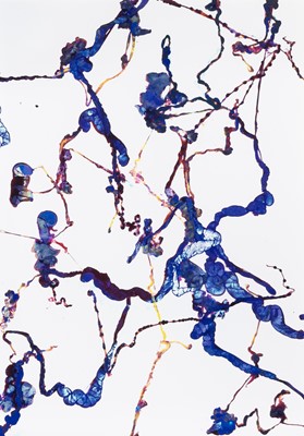 Lot 137 - Adam Fuss, Details of Love