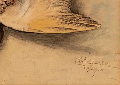 Lot 67 - Charles Storer
