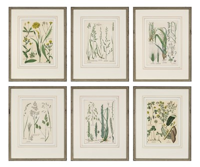 Lot 44 - Gotthilf Heinrich von Schubert (1780-1860)
