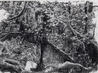 Lot 3 - Hugo Bastidas
