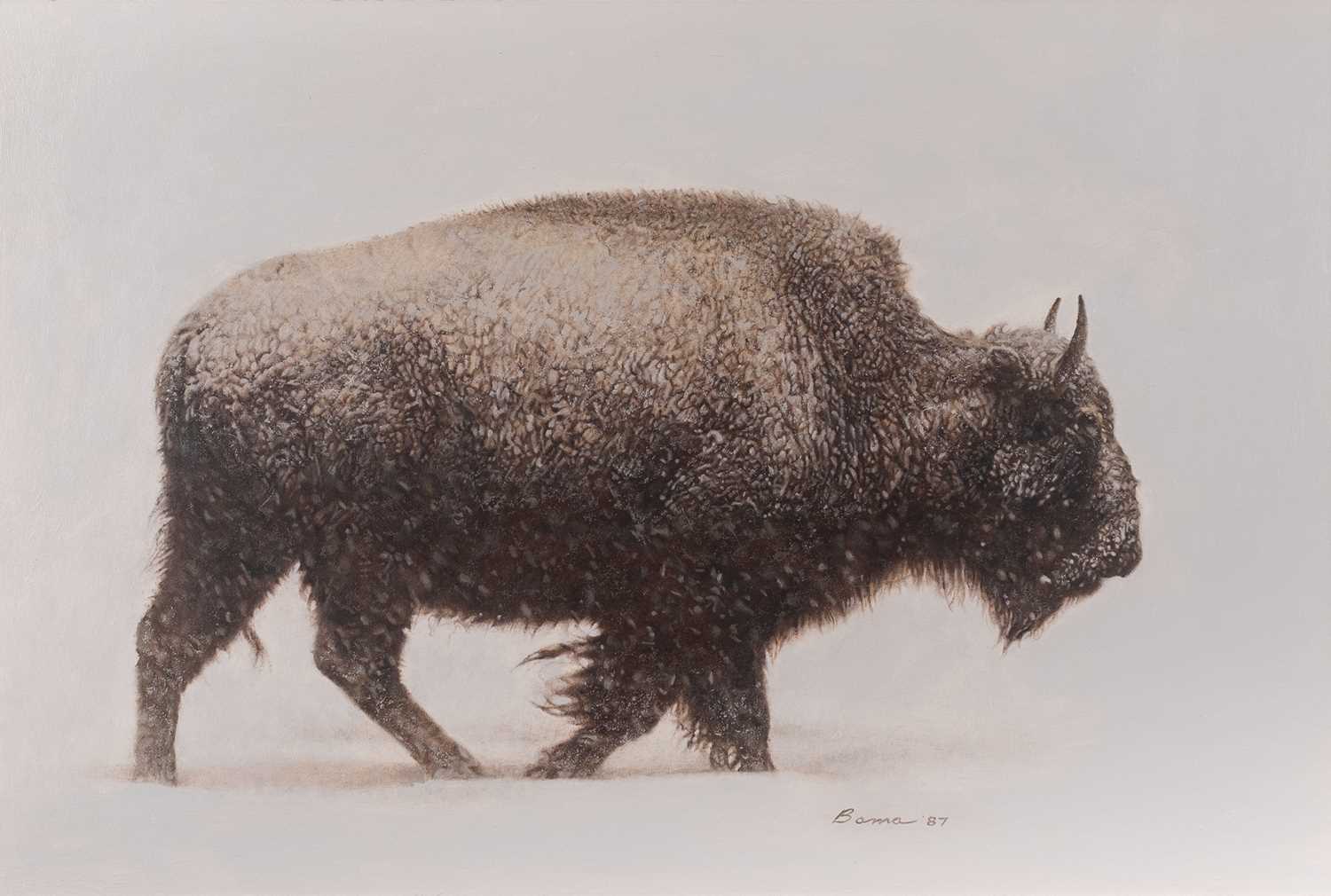 Lot 116 - James Bama
