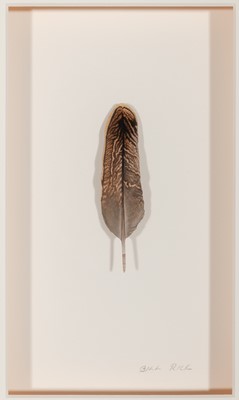 Lot 56 - Bill J. Rice