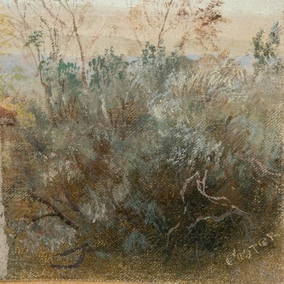 Lot 22 - Edward L. Custer