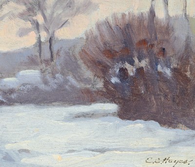 Lot 37 - Chester C. Hayes