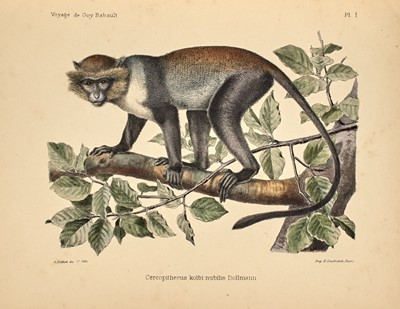 Lot 131 - Babault's Voyage dans l'Afrique Orientale Anglaise