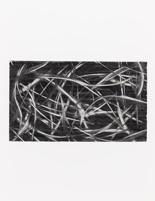 Lot 165 - Mark Sheinkman