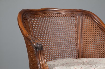 Lot 384 - Louis XV Style Fruitwood Bergere with Caned Back and Seat