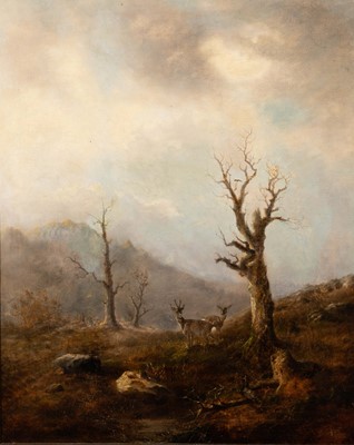 Lot 25 - Continental School