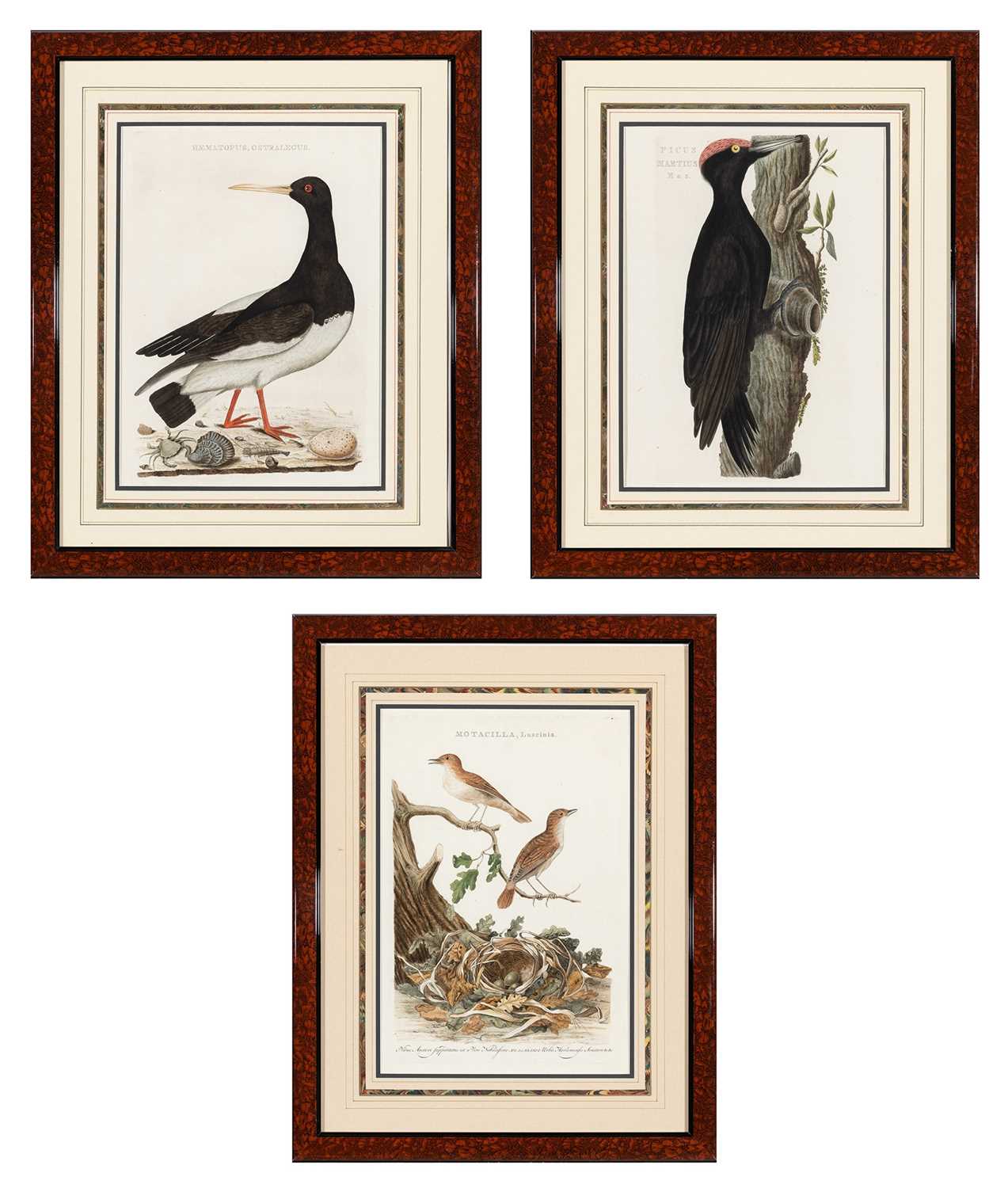 Lot 71 - Corneilus Nozeman (1720-1786)