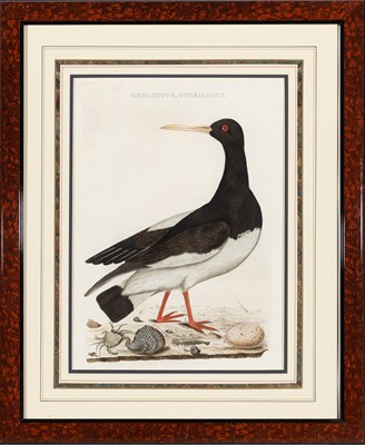Lot 71 - Corneilus Nozeman (1720-1786)