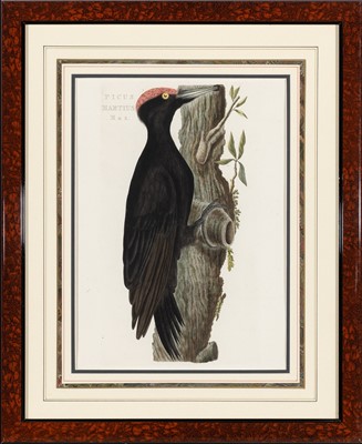Lot 71 - Corneilus Nozeman (1720-1786)