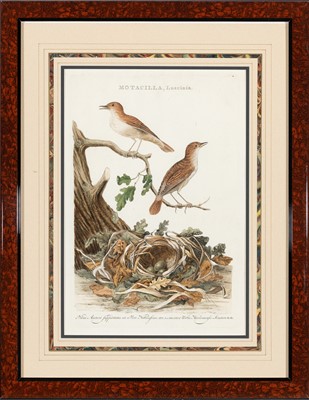 Lot 71 - Corneilus Nozeman (1720-1786)