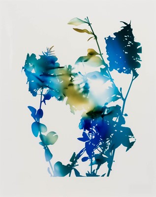 Lot 3124 - James Welling. 010B, 2006