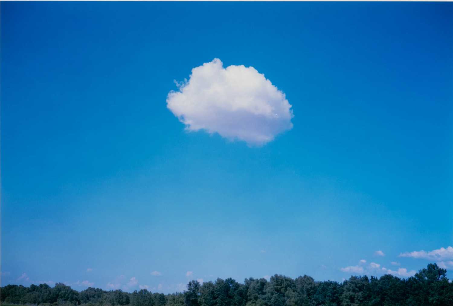 Lot 3056 - William Eggleston. Untitled (Greenwood, Mississippi)