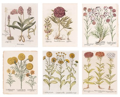 Lot 614 - Basilius Besler (1561-1629)