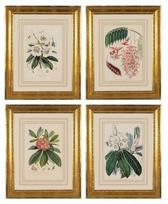 Lot 71 - Sir Joseph Dalton Hooker (1817-1911)