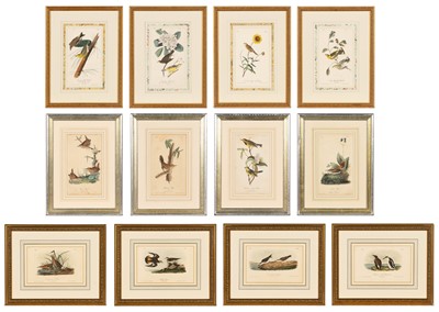 Lot 69 - After John James Audubon (1785-1851)