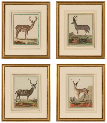 Lot 70 - Jacques de Sève (fl. 1742-1788)