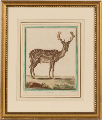 Lot 70 - Jacques de Sève (fl. 1742-1788)
