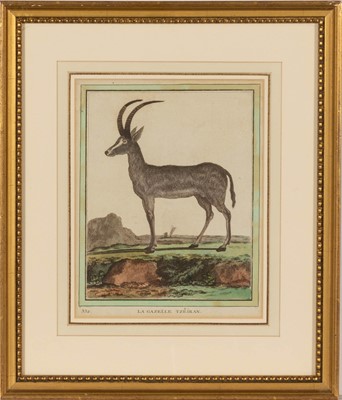 Lot 70 - Jacques de Sève (fl. 1742-1788)