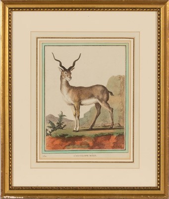 Lot 70 - Jacques de Sève (fl. 1742-1788)