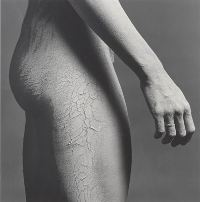 Lot 3091 - Robert Mapplethorpe. Lisa Lyon