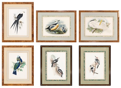 Lot 104 - John Gould (1804-1881), publisher