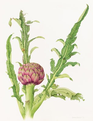 Lot 51 - Group of Seven Botanical and Bird Paintings