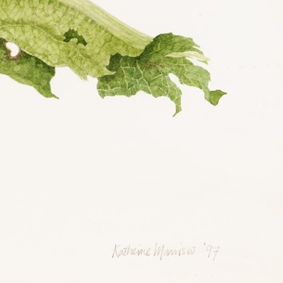 Lot 51 - Group of Seven Botanical and Bird Paintings