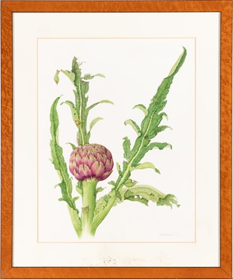 Lot 51 - Group of Seven Botanical and Bird Paintings
