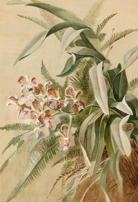 Lot 51 - Group of Seven Botanical and Bird Paintings