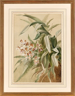 Lot 51 - Group of Seven Botanical and Bird Paintings