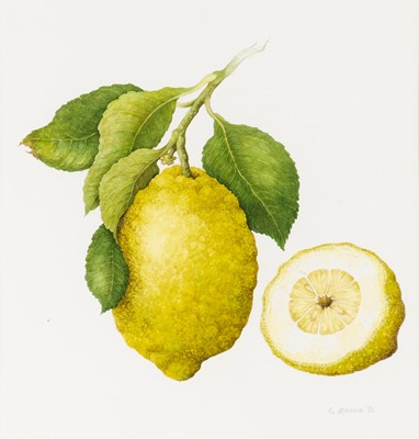 Lot 51 - Group of Seven Botanical and Bird Paintings