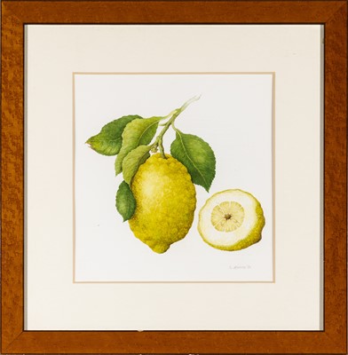 Lot 51 - Group of Seven Botanical and Bird Paintings