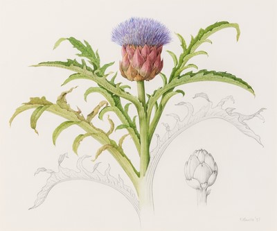 Lot 51 - Group of Seven Botanical and Bird Paintings